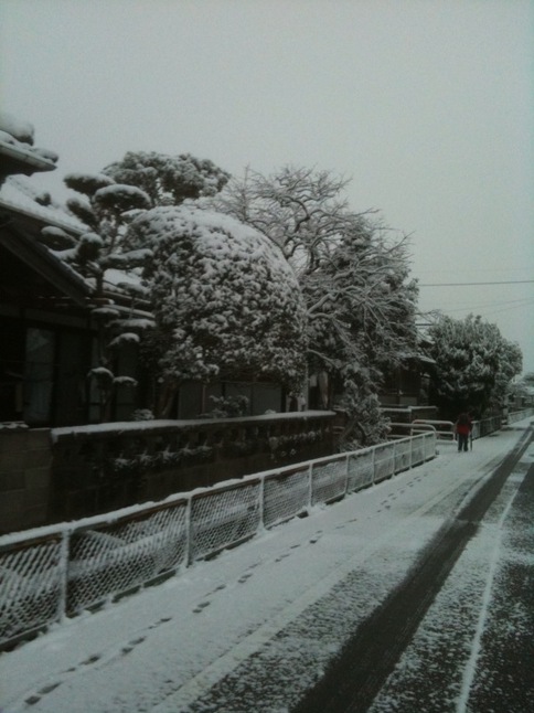 雪化粧