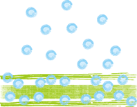 igusa-bubble.png